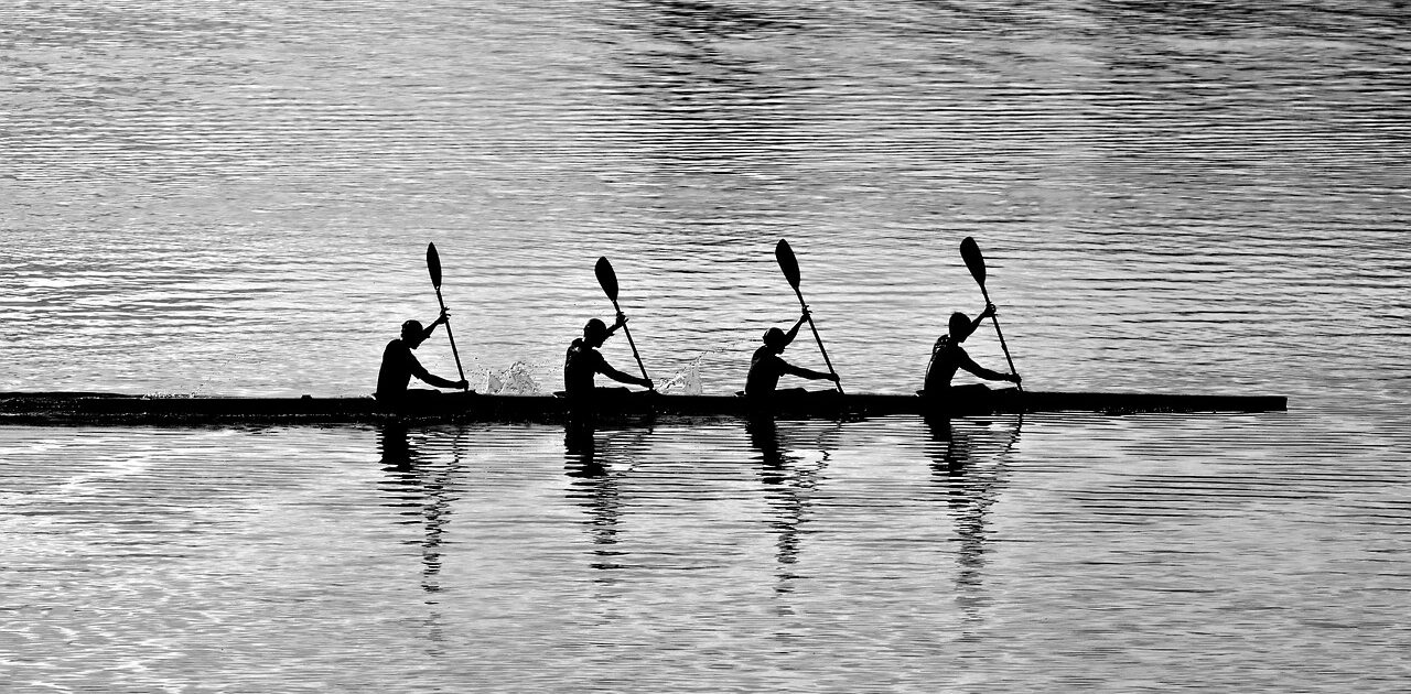 rowing, quartet, water sport, leisure, teamwork, monochrome, black and white, teamwork, teamwork, teamwork, teamwork, teamwork
